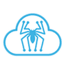 Spider Marketing